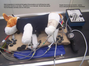 Anaesthetic monitoring 2 rs