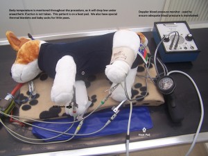 Anaesthetic monitoring 2 rs